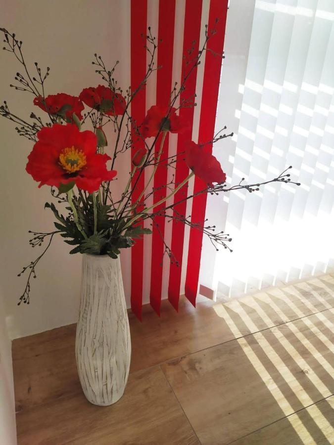 Alpenblick Apartment Gastein - Inklusive Eintritt Alpentherme バート・ホーフガシュタイン エクステリア 写真