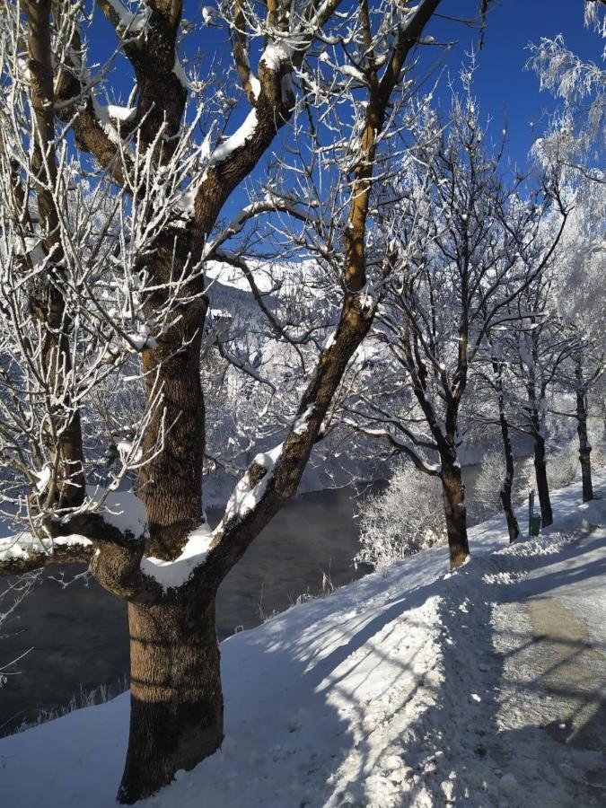 Alpenblick Apartment Gastein - Inklusive Eintritt Alpentherme バート・ホーフガシュタイン エクステリア 写真