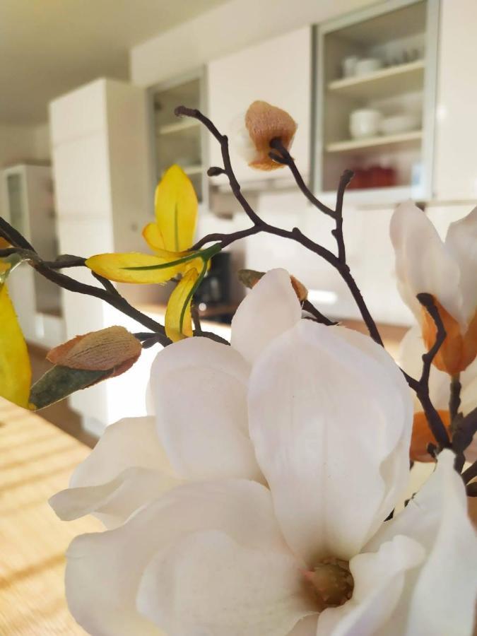Alpenblick Apartment Gastein - Inklusive Eintritt Alpentherme バート・ホーフガシュタイン エクステリア 写真